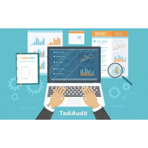 Phần mềm quản lý kiểm toán -Tadiaudit Phần mềm quản lý kiểm toán -Tadiaudit